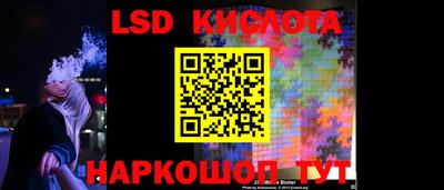 прущие грибы Волгодонск