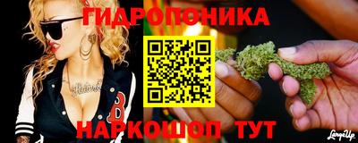 прущие грибы Волгодонск