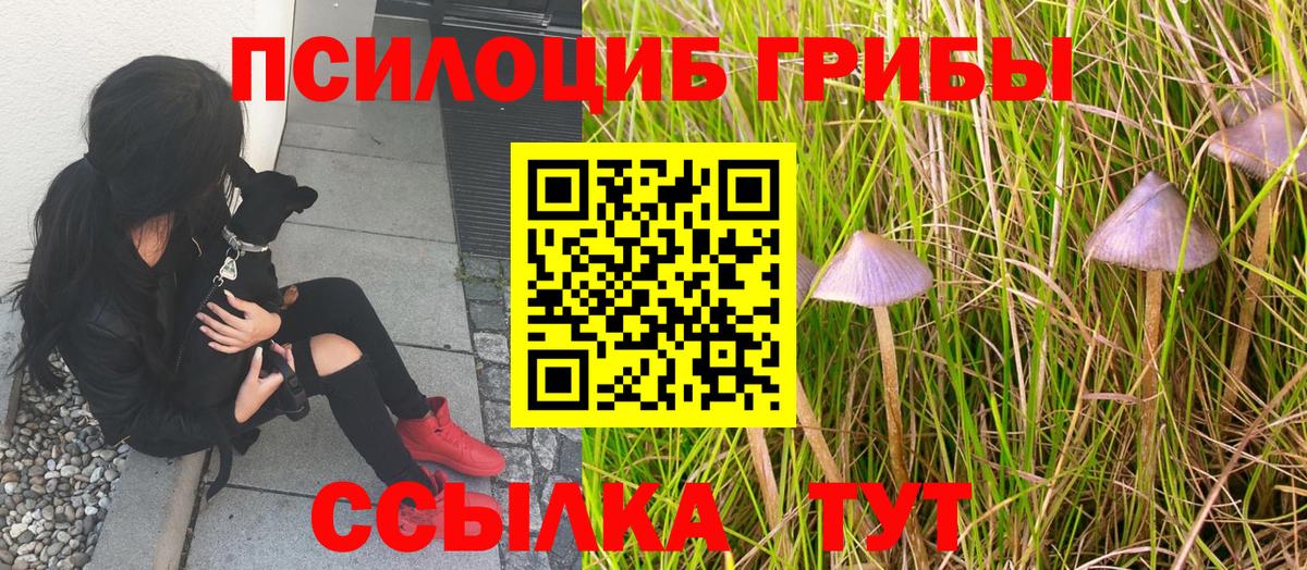 Галлюциногенные грибы Magic Shrooms  Вход с VPN  Рубцовск 