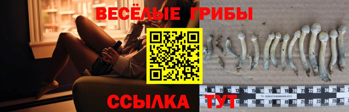 Галлюциногенные грибы ЛСД Рубцовск